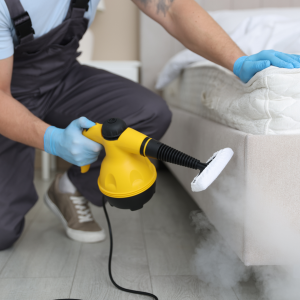 Desinfección Profesional / Limpieza Especializada