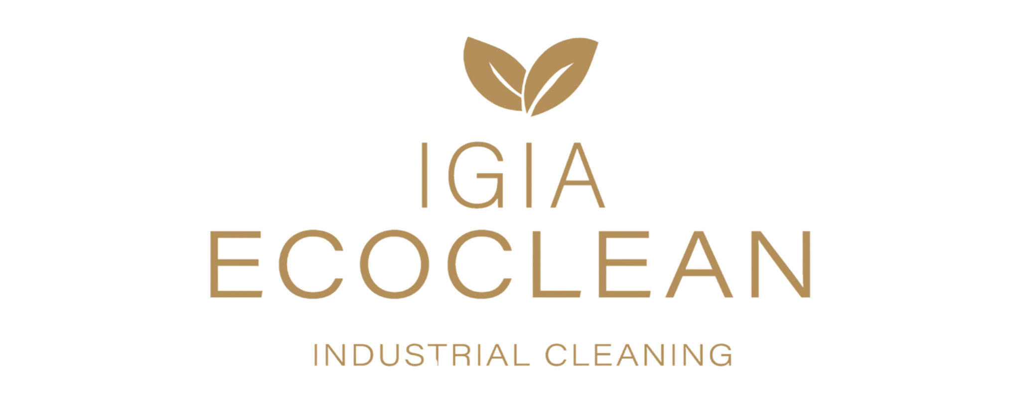 Igia Clean